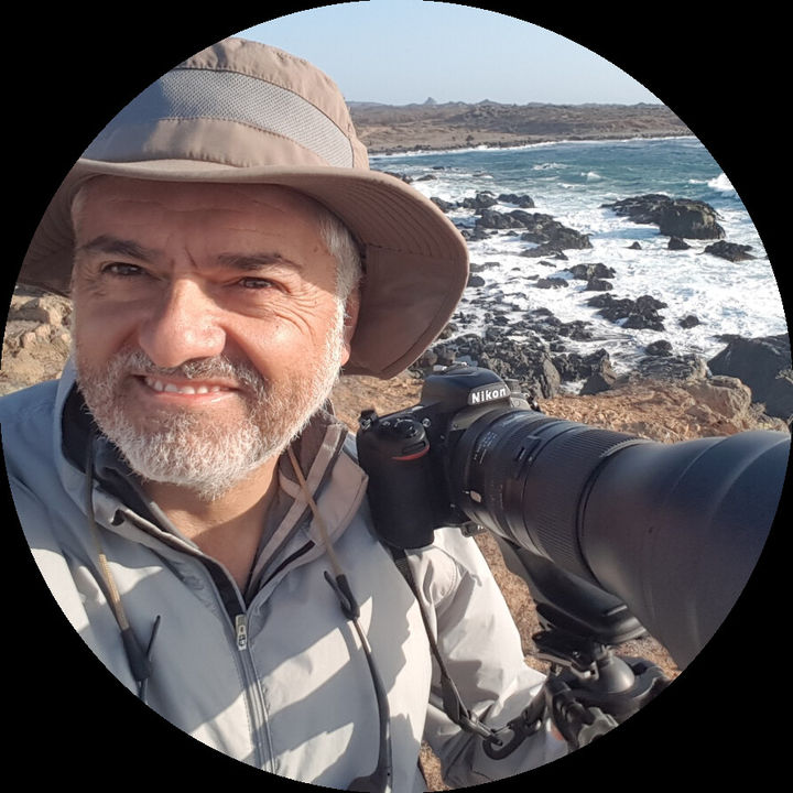 Francisco Medina Goiri avatar.